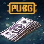 Pubg Mobile 300+25 UC